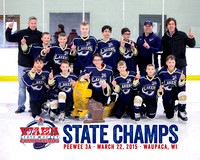 LAKERS PeeWee A STATE POSTER